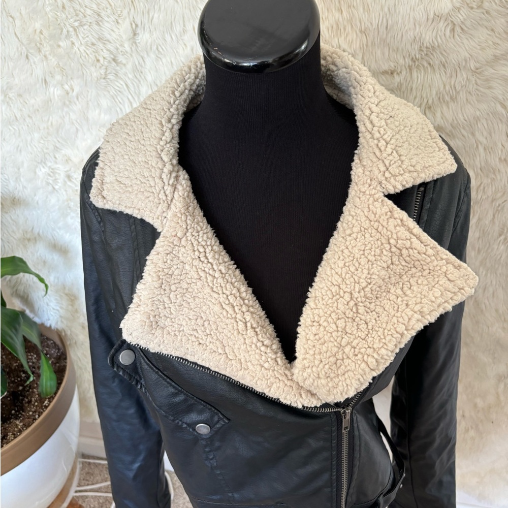 Jacket - Picture 3 of 8